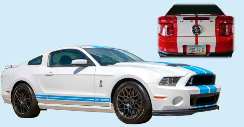 2010-14 Ford Mustang Shelby GT500 Dual Wide Type 1-Color Lemans Stripe (21.5 inch)