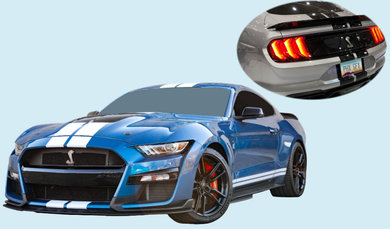 2020-22 Ford Mustang Shelby GT350/R(20)/GT500(20-22) Dual Narrow 1-Color Stripe (15.5 inch)