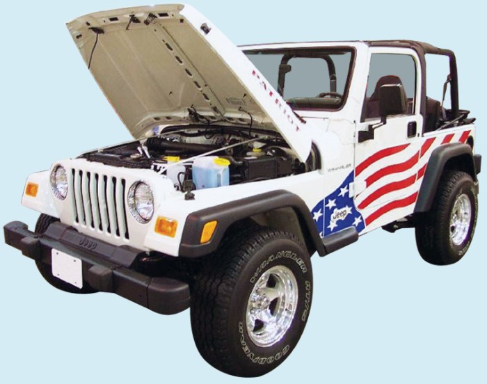 2002 Jeep TJ Wrangler Patriot