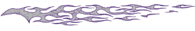Backdraft Silver/Purple & Wisp Graphic
