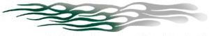 Firestorm Silver/Nassau Green/White Graphic