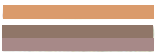 Toyota Replacement Stripes