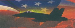 Fighter & Flag