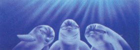 3 Dolphins