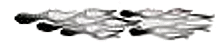 Mini-Inferno Silver/Black Graphic
