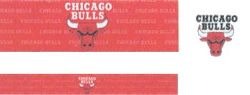 Chicago Bulls