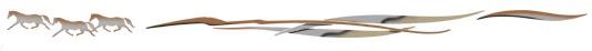 Open Range Bronze/Silver/Goldmist Graphic
