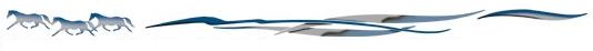 Open Range Metallic Blue/Silver/Bluemist Graphic
