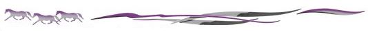 Open Range Plum/Silver/Charcoal Graphic