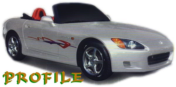 Profile side graphic
