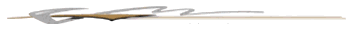 Profile Gold/Silver Graphic