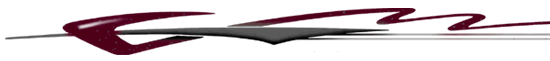 Profile Charcoal/Dark Red Graphic