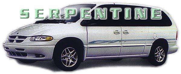 Serpentine side graphic