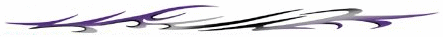Thistle Silver/Purple Graphic