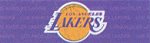 NBA Decals and Logos