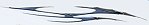 tormentor Custom Auto Decals