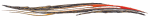 Velocity Decal Kits