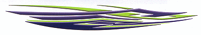 Reflections Mirrored Film Striping Kit