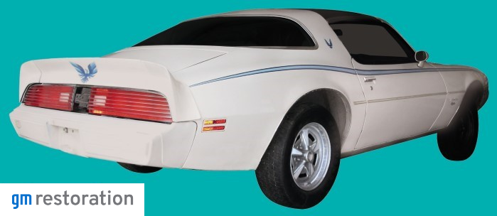 1979-81 Pontiac Firebird/Esprit