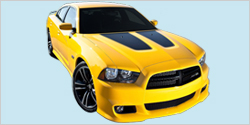 2012-14 Dodge Charger Super Bee Hood Decals
