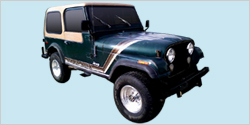 1980 Jeep Golden Hawk CJ