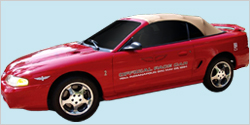 1994 Ford Mustang SVT Cobra Pace Car Decal & Stripe Kit