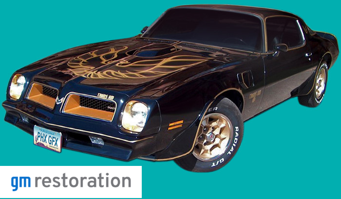 1976 BLACK "SPECIAL EDITION" TRANS AM<br><strong>GERMAN STYLE</strong>