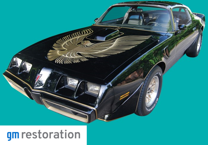 1981 BLACK "SPECIAL EDITION" TRANS AM "Ultimate Kit"