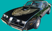 1981 SPECIAL EDITION TRANS AM