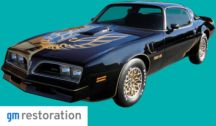 1976-78 BLACK "SPECIAL EDITION" TRANS AM<br><strong>GERMAN STYLE</strong>