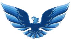 1979-80 Firebird/Esprit/Formula Rear Spoiler Bird 