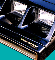 1979-80 Trans Am Front Bumper Decal