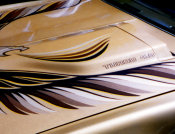 1980 Trans Am Turbo Hood Decal Detail