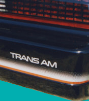 1985-87 Trans Am Rear Bumper Decal