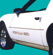 1987-90 Formula 350 Door Decal