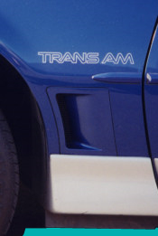 1987-90 Trans Am Fender Name Decal