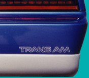 1987-90 Trans Am Rear Bumper Decal