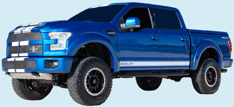 2015-20 Shelby F150 Truck Lower Side Stripe