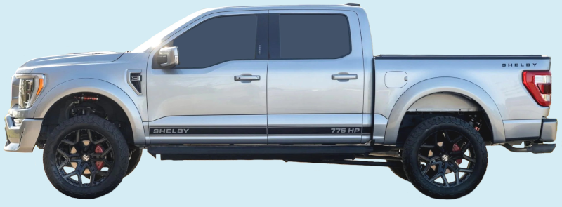2021-23 Shelby F150 Truck Lower Side Stripe