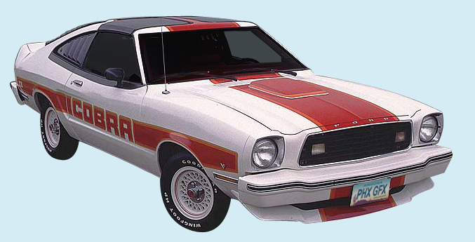 1978 Mustang King Cobra Parts