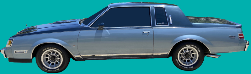 1981-87 Buick Regal Limited/Turbo T-Type/Designer Series