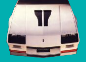 1982-84 Camaro Z28 Hood Blackout Decals