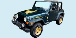 2006 Jeep Golden Eagle Wrangler TJ