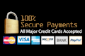 100% Secure Payments