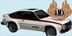 1979-1980 Spirit AMX Hood Decal & AMX Names Kit