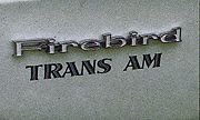1969 Trans Am Fender Name Decal