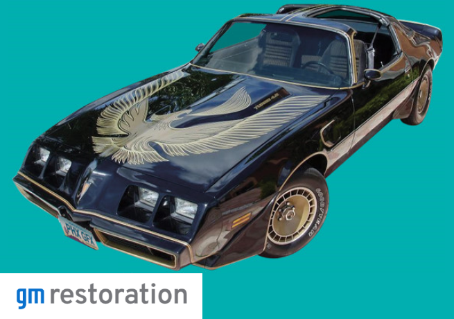 1981 BLACK <i>"SPECIAL EDITION"</i> TRANS AM TURBO