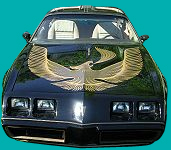 1981 BLACK <i>"SPECIAL EDITION"</i> TRANS AM TURBO