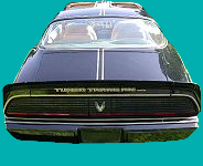 1981 BLACK <i>"SPECIAL EDITION"</i> TRANS AM TURBO