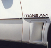 1982 Trans Am Sail Panel Bird Decal